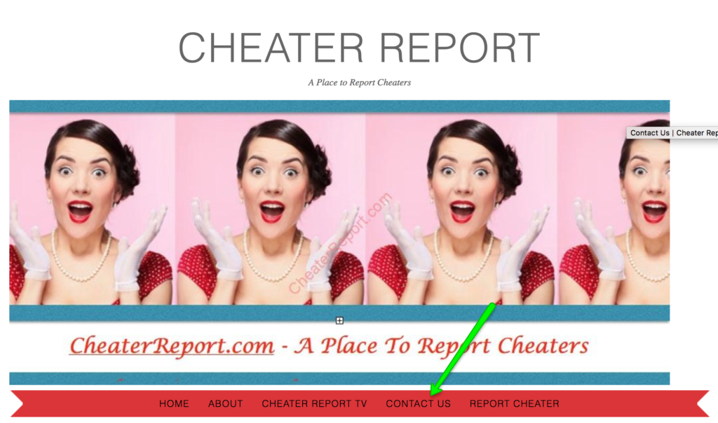 CheaterReport Contact
